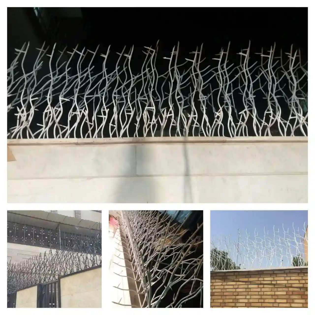 حفاظ شاخ گوزنی و کاهش خطر عبور سارقین