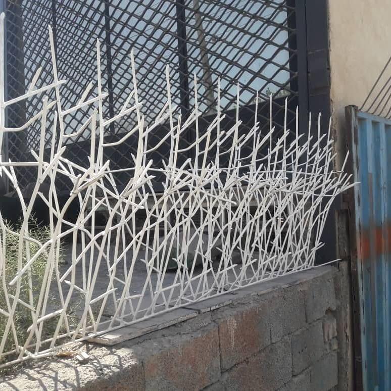 تعریف حفاظ شاخ گوزنی ویژگی ها و مزایا