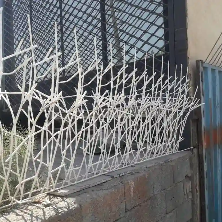 تعریف حفاظ شاخ گوزنی ویژگی ها و مزایا