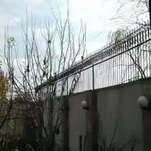 حفاظ سرنیزه ای: ایمنی بالا و طراحی زیبا