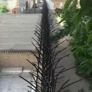 کاربرد حفاظ شاخ گوزنی