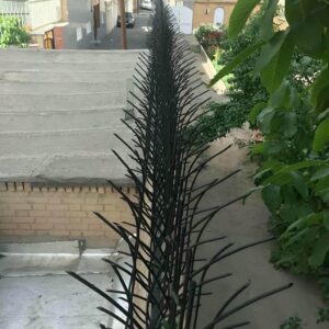 کاربرد حفاظ شاخ گوزنی
