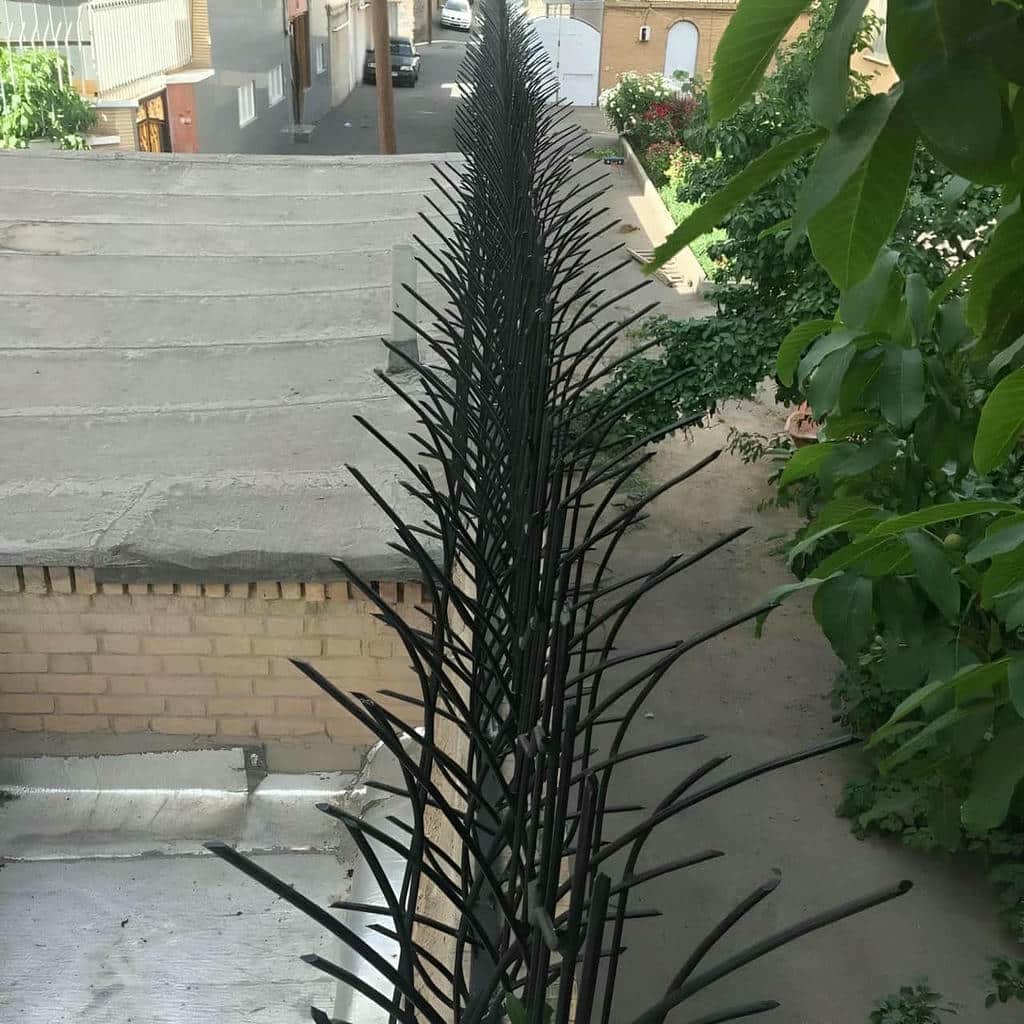کاربرد حفاظ شاخ گوزنی