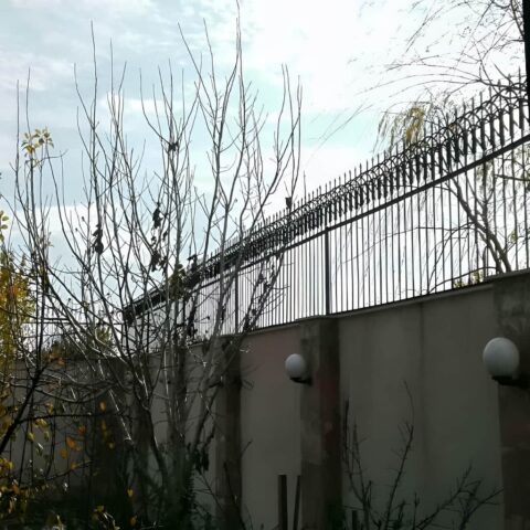 حفاظ سرنیزه ای: ایمنی بالا و طراحی زیبا