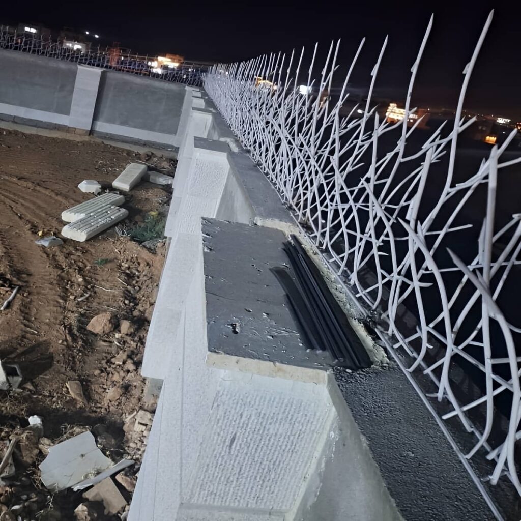 حفاظ شاخ گوزنی در همدان