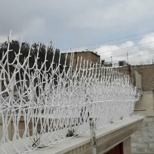 حفاظ شاخ گوزنی در نظرآباد