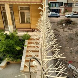 حفاظ شاخ گوزنی در محمودآباد