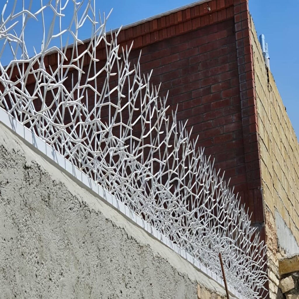 خرید حفاظ شاخ گوزنی تراکم ساحلی در بندر انزلی