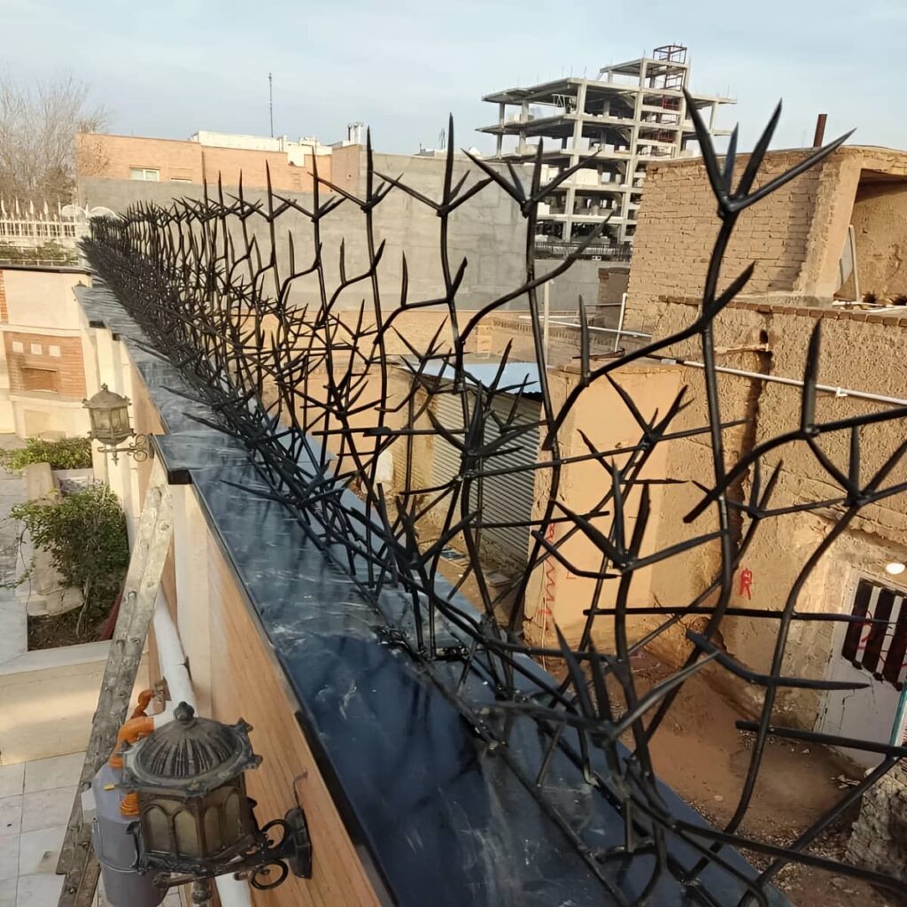 قیمت حفاظ شاخ گوزنی دیوار مسکونی در محمدشهر