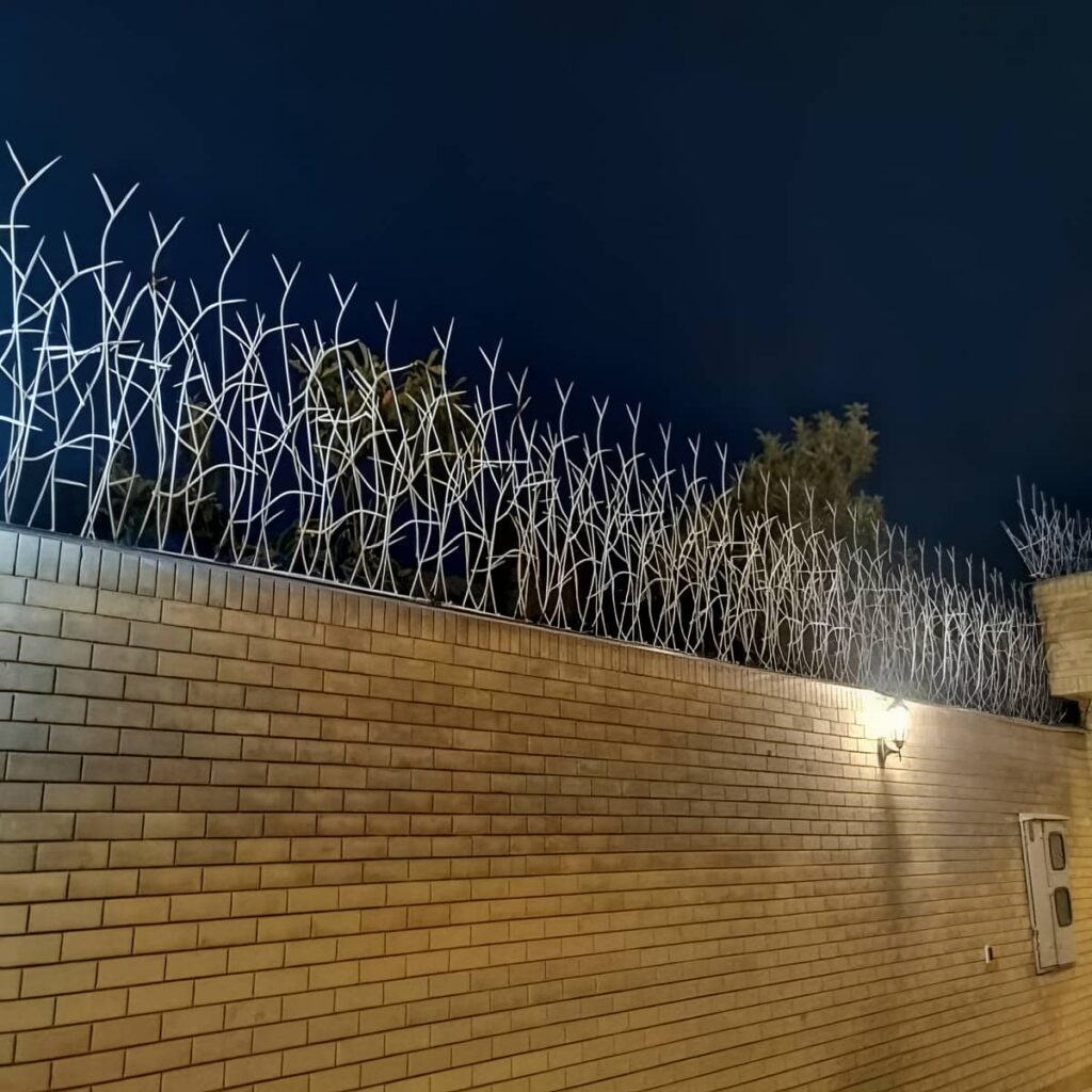 حفاظ شاخ گوزنی در استان گیلان
