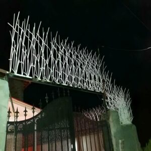 حفاظ شاخ گوزنی در قم