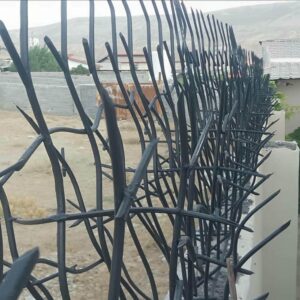 حفاظ شاخ گوزنی در اصفهان