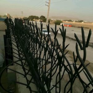 حفاظ شاخ گوزنی در دماوند