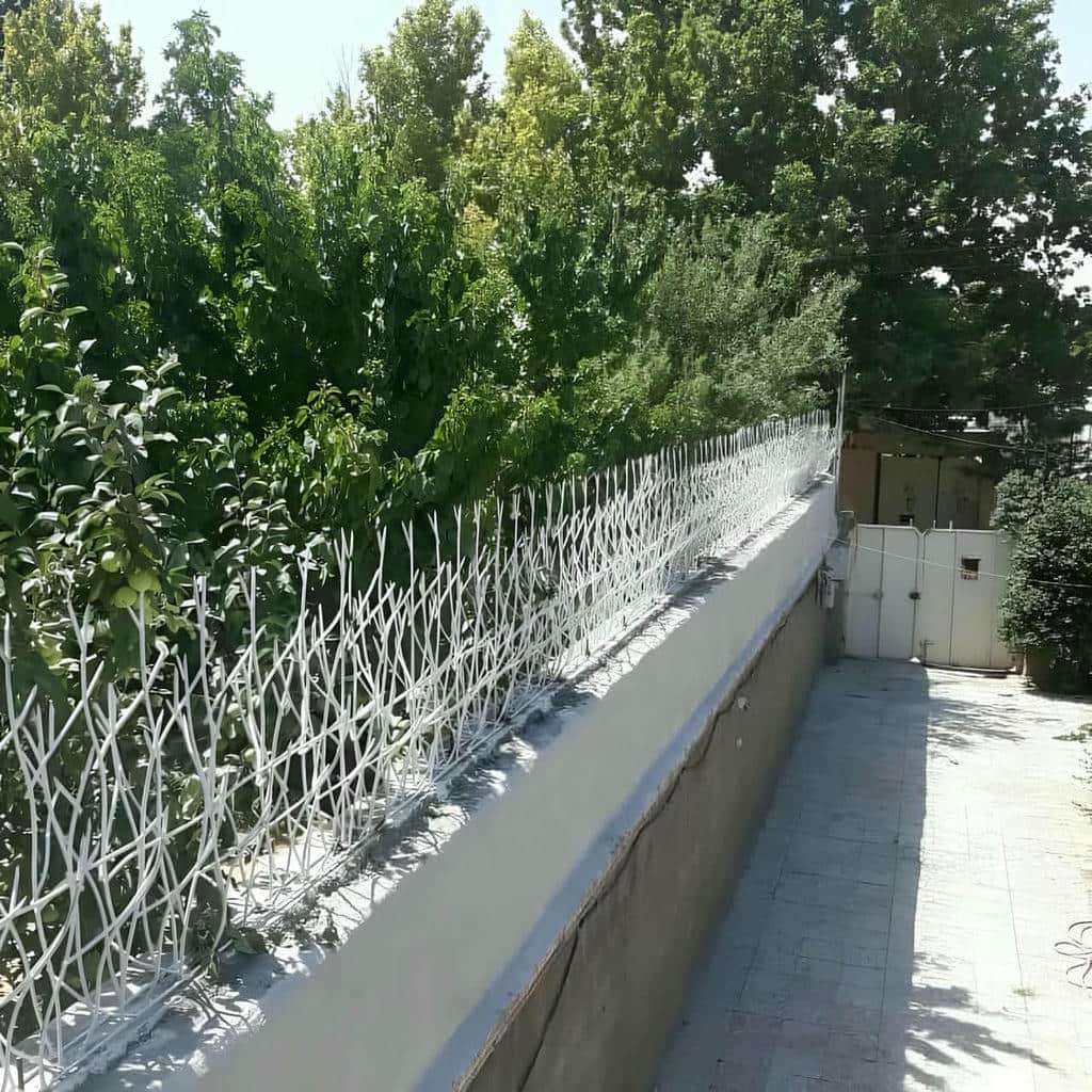 قیمت حفاظ شاخ گوزنی آپارتمانی در عظیمیه کرج