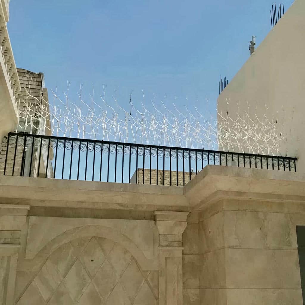 فروش حفاظ شاخ گوزنی امنیت محیطی در اندیشه
