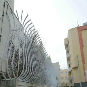 حفاظ شاخ گوزنی در فشم