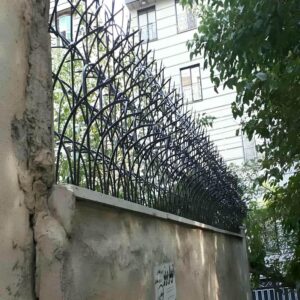 حفاظ شاخ گوزنی در آبسرد