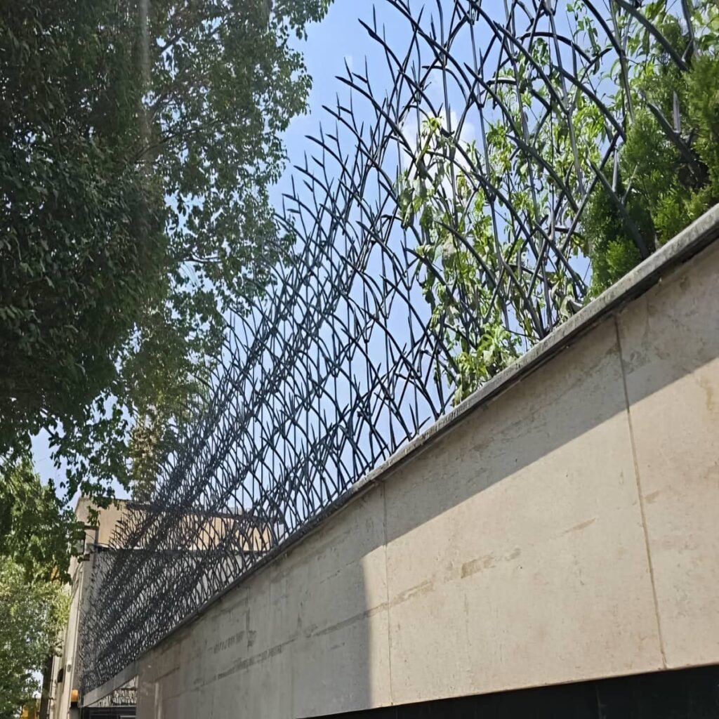 خرید حفاظ شاخ گوزنی تراکم شاخه در پرند