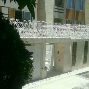 حفاظ شاخ گوزنی در اشتهارد