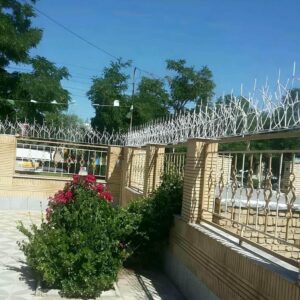 حفاظ شاخ گوزنی در رفسنجان