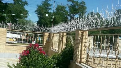 حفاظ شاخ گوزنی در رفسنجان