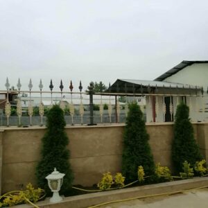 حفاظ شاخ گوزنی در ملارد