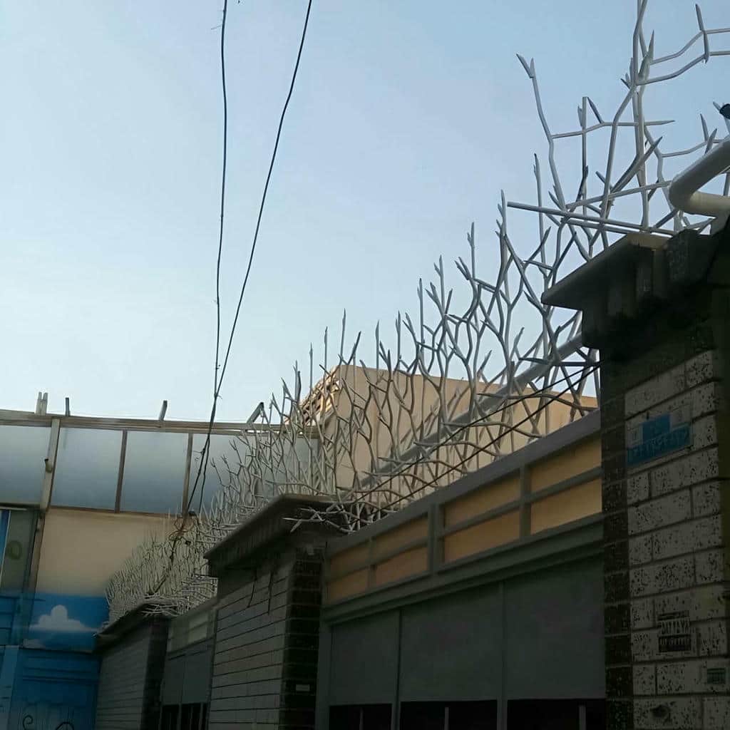 حفاظ شاخ گوزنی در عظیمیه کرج