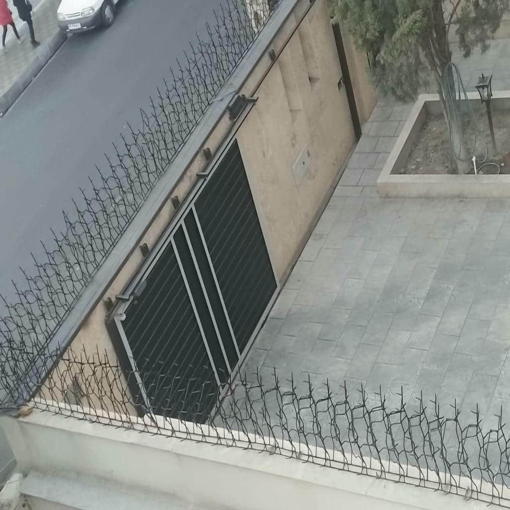 قیمت حفاظ شاخ گوزنی دیوار حیاط در سنندج