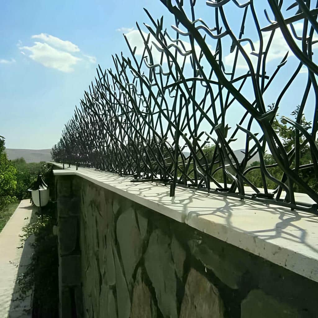 حفاظ شاخ گوزنی در فردیس کرج