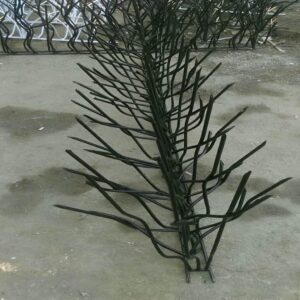 حفاظ شاخ گوزنی در بومهن