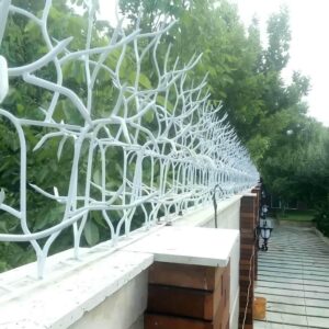 حفاظ شاخ گوزنی در کرمان
