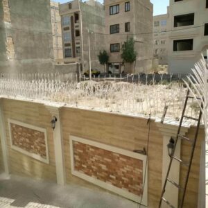 حفاظ شاخ گوزنی در اردبیل