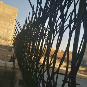 حفاظ شاخ گوزنی در بجنورد