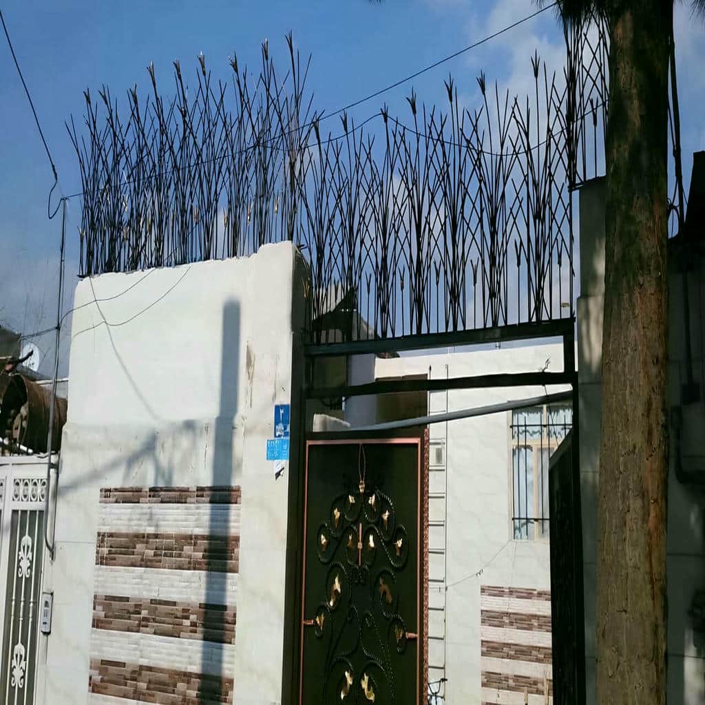 حفاظ شاخ گوزنی در نیشابور