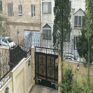 حفاظ شاخ گوزنی در شیراز