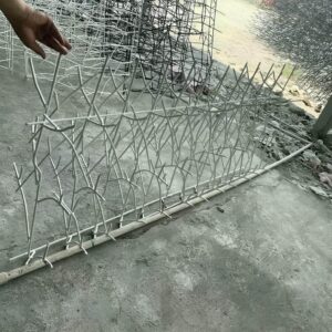 حفاظ شاخ گوزنی در قائمشهر