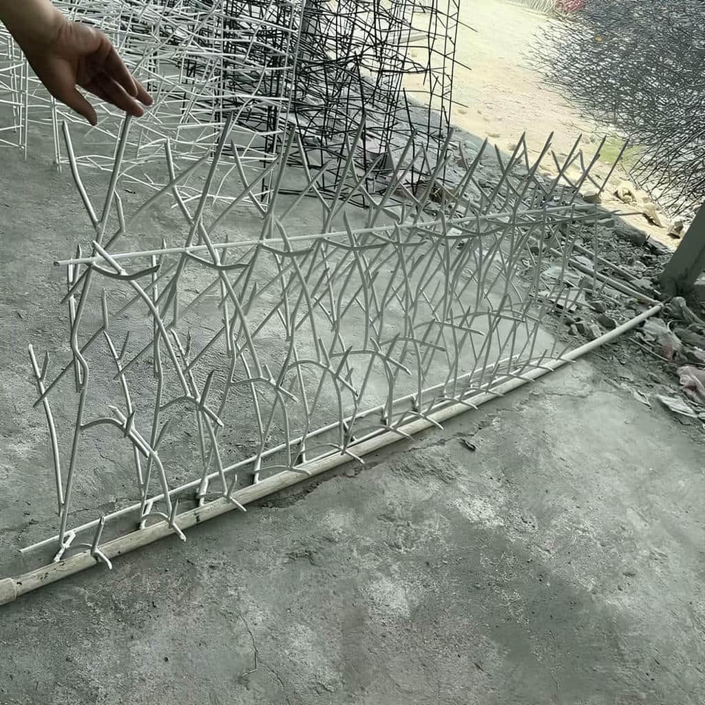 حفاظ شاخ گوزنی در قائمشهر