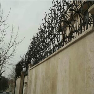 حفاظ شاخ گوزنی در فیروزکوه
