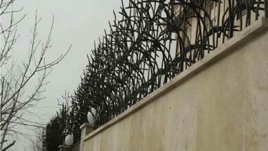 حفاظ شاخ گوزنی در فیروزکوه