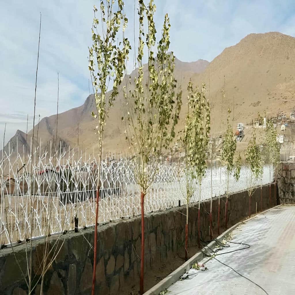 قیمت حفاظ شاخ گوزنی دیوار ساختمانی در قم