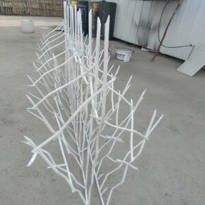 حفاظ شاخ گوزنی در ساوه