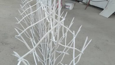 حفاظ شاخ گوزنی در ساوه