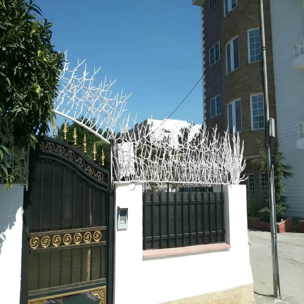 قیمت حفاظ شاخ گوزنی دیوار تجاری در قشم