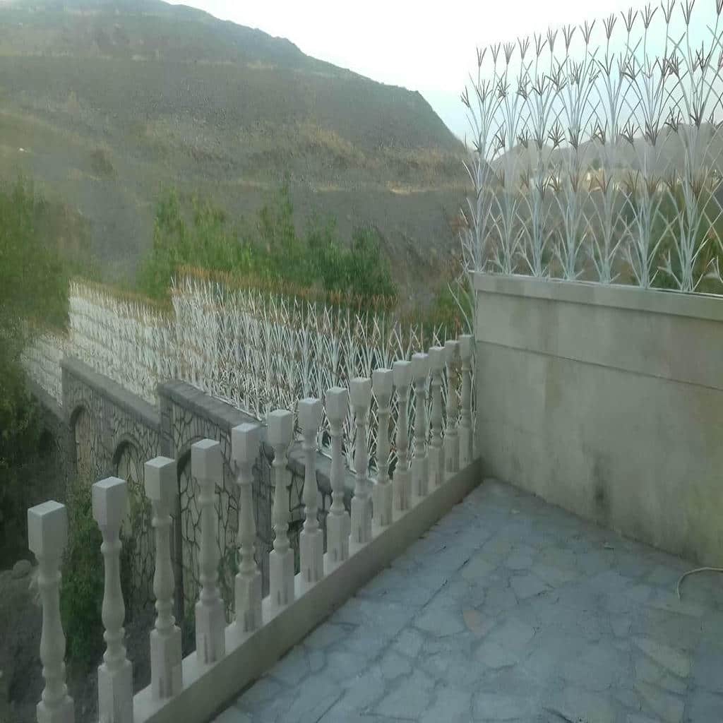 خرید حفاظ شاخ گوزنی اندازه‌گیری محل در نیشابور