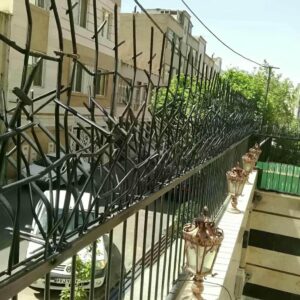 حفاظ شاخ گوزنی در ایرانشهر