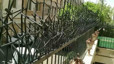 حفاظ شاخ گوزنی در ایرانشهر
