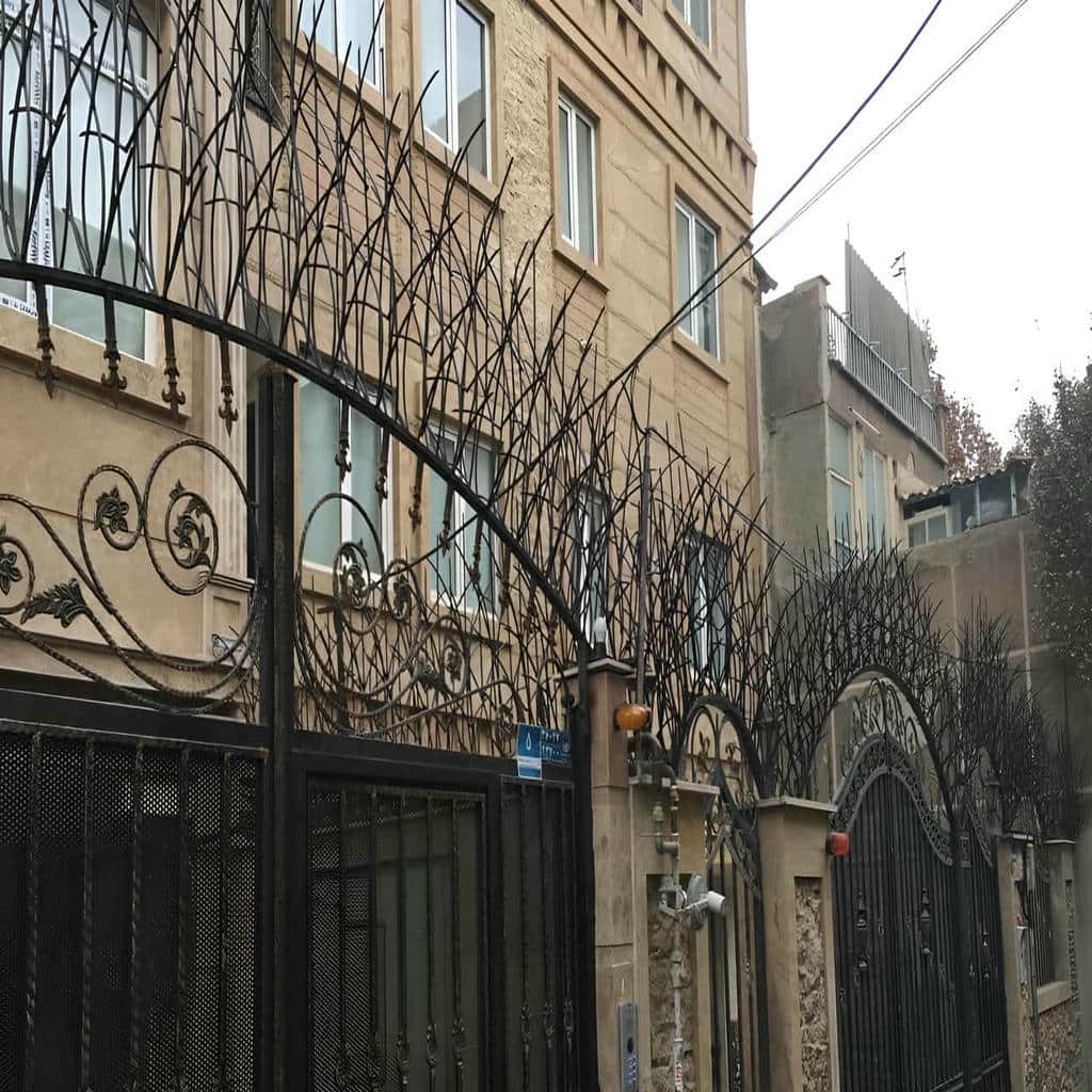 حفاظ شاخ گوزنی در محمدشهر