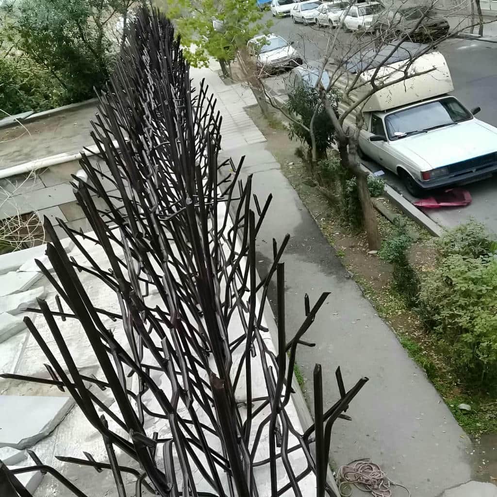 حفاظ شاخ گوزنی در کیش