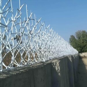حفاظ شاخ گوزنی در پردیس