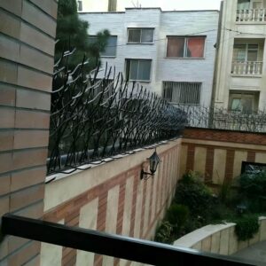 حفاظ شاخ گوزنی در مهرشهر کرج